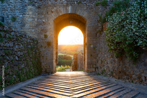 archway in the castle photo