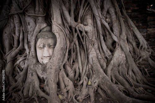 Fototapeta a statue sinking into new tree roots Ayutthaya Thailand Sukhothai