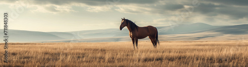 Horse standing in the meadow. Generative AI
