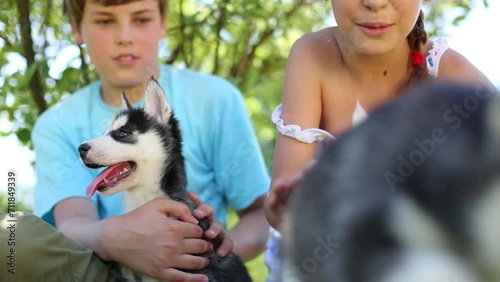 Boy and girl sit on grass and hold two puppies husky in park photo