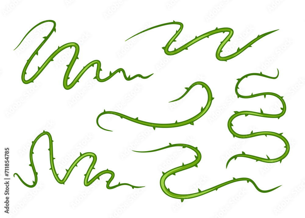 Shape of sharp liana vines. Jungle thorn branch. Collection of Natural decorative illustration isolated on white. Forest twisted tropical wood Shape of sharp liana vines. Jungle thorn branch. Collection of Natural decorative illustration isolated on white. Forest twisted tropical wood