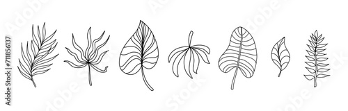 leaves set on white background. Hand drawing vector