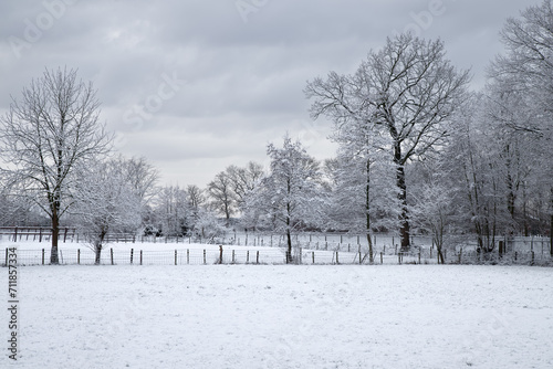 Wallpaper Mural Polder landscape covered with snow. Torontodigital.ca