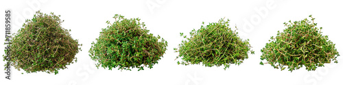 Thyme Flower Pile Of Heap Of Piled Up Together Hyperrealistic Highly Detailed Isolated On Transparent Background Png File