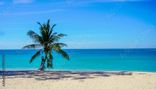 Beach in southeast asia. Palm trees and blue sea, heavenly place © Liubov
