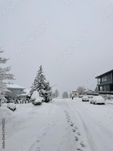 Heavy snowfall in a Metro Vancouver neighborhood on January 17, 2024 in British Columbia, Canada. © StandbildCA