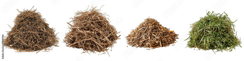 Veronica Flower Pile Of Heap Of Piled Up Together Hyperrealistic Highly Detailed Isolated On Transparent Background Png File