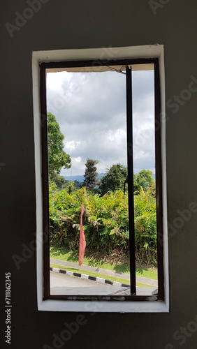view of the nature from the window
