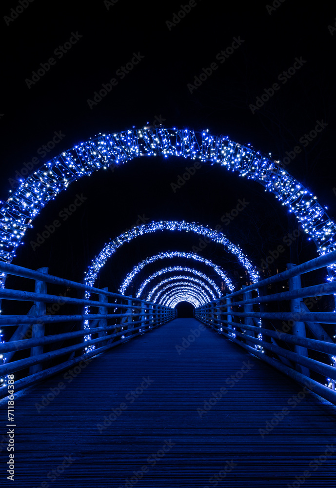Obraz premium Illuminated Bridge As Part Of The Winter Lights At Woburn Forrest Retreat