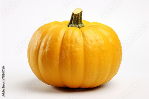 Single pumpkin isolated on white background   halloween decoration and autumn harvest concept