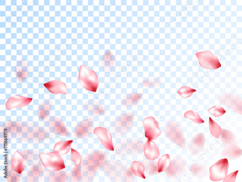 Japanese cherry petals on transparent background.