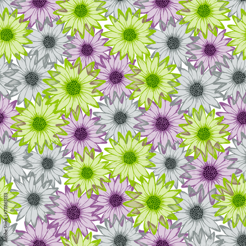 Chamomile beautiful vector endless pattern. Rudbeckia daisy blossom