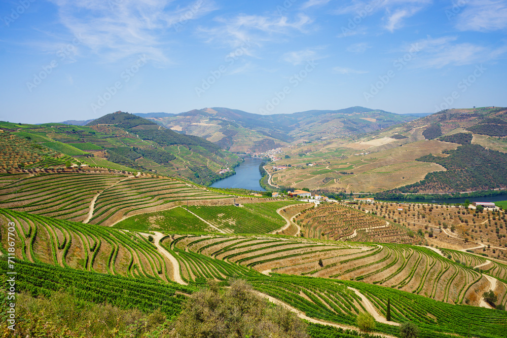 Fototapeta premium Beautiful Douro Valley with a river view and typical north Portuguese vinery.