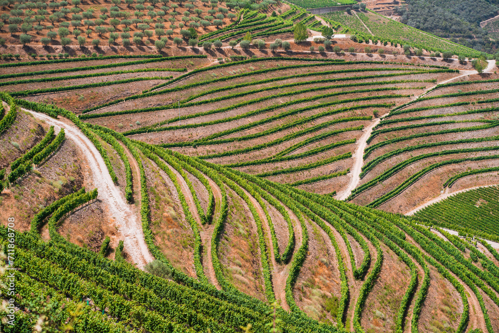 Beautiful Douro Valley with a river view and typical north Portuguese vinery.