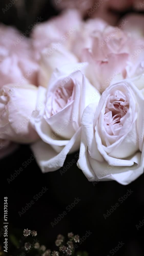Florist girl works in flower shop Elya Florist girl works in flower shop Elya