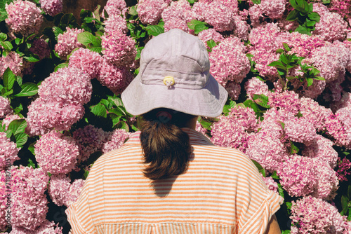 unrecognizable woman contemplating the pink flower Hydrangea macrophylla with a purple bucket hat on photo
