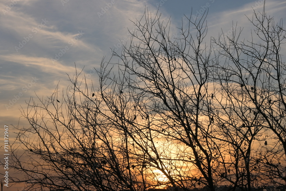 Obraz premium sunset in the mountains