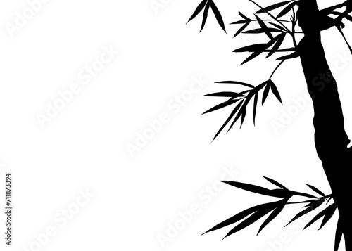 Silhouette of Bamboo on White Background. A stark black silhouette of bamboo branches and leaves set against a plain white background  evoking a sense of calm and minimalism. Isolated Background
