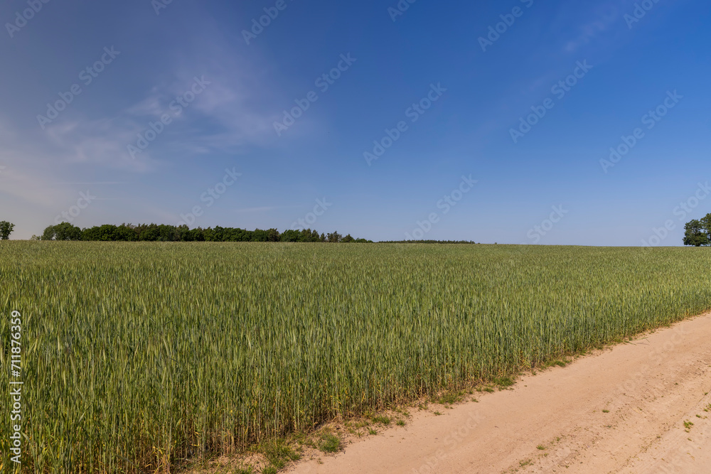 cereal growing business in eastern europe cereal growing business in eastern europe