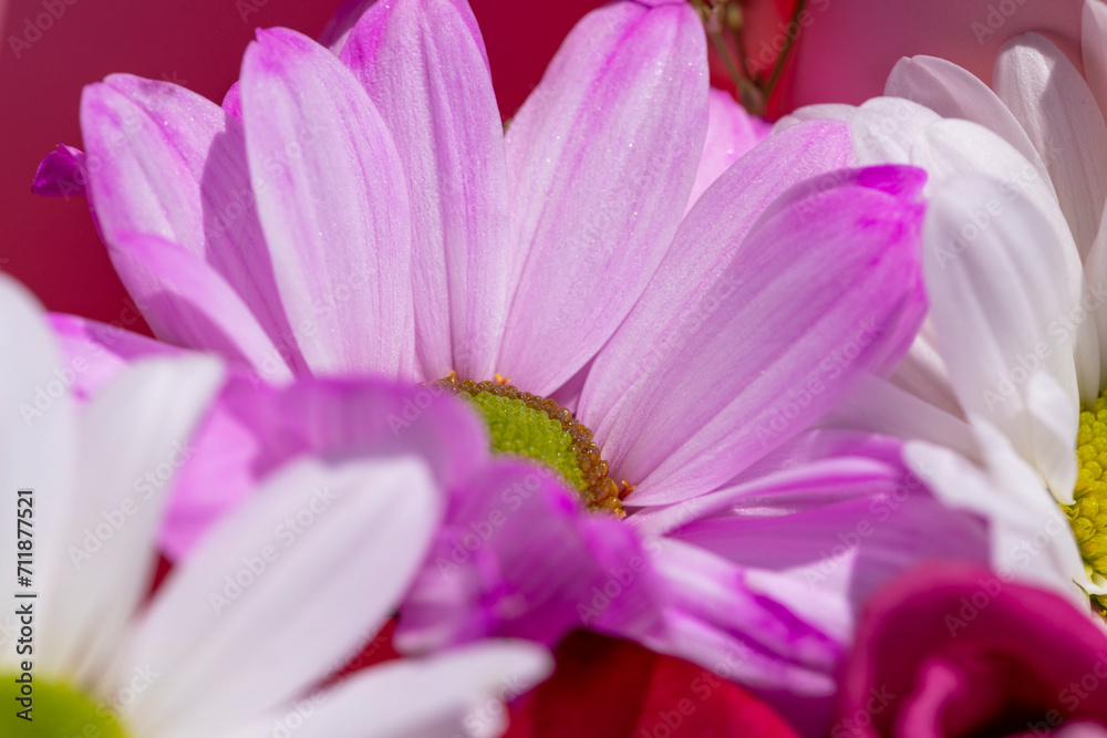 a beautiful bouquet combined with different flowers a beautiful bouquet combined with different flowers