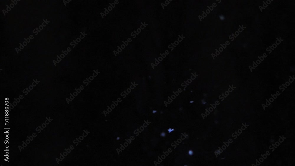 Under the tranquil night sky, delicate snowflakes gently descend, capturing the soft glow of as it illuminates their intricate crystalline forms. Under the tranquil night sky, delicate snowflakes gently descend, capturing the soft glow of as it illuminates their intricate crystalline forms.