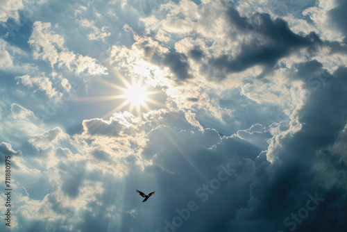 A bird flying high up in the cloud-covered sky © Mayava