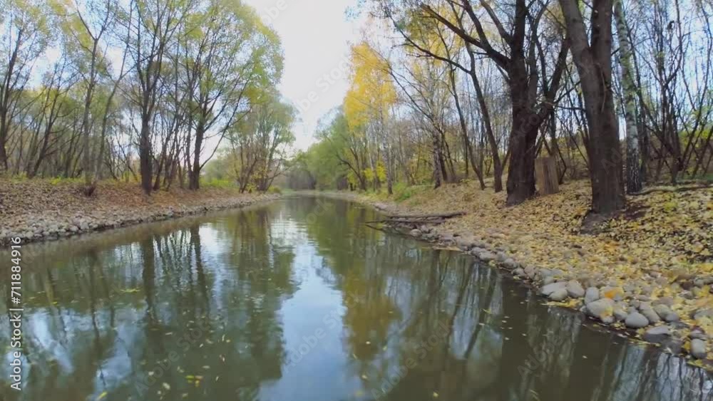 Wavy water surface with fallen leaves and reflection of plants Wavy water surface with fallen leaves and reflection of plants