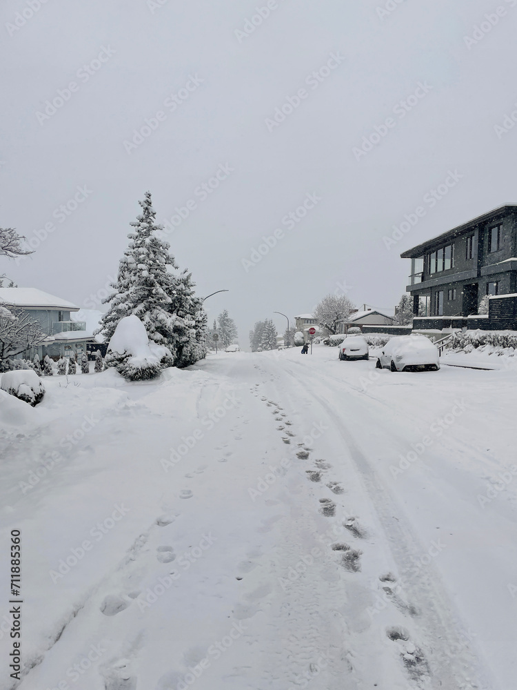 Heavy snowfall in a Metro Vancouver neighborhood on January 17, 2024 in British Columbia, Canada.