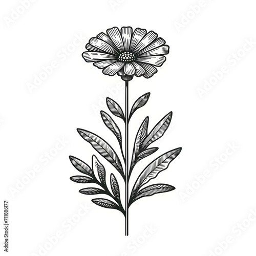 Modern schematic drawing of a flower with long stem, large flower and symmetrical leaves in black on white