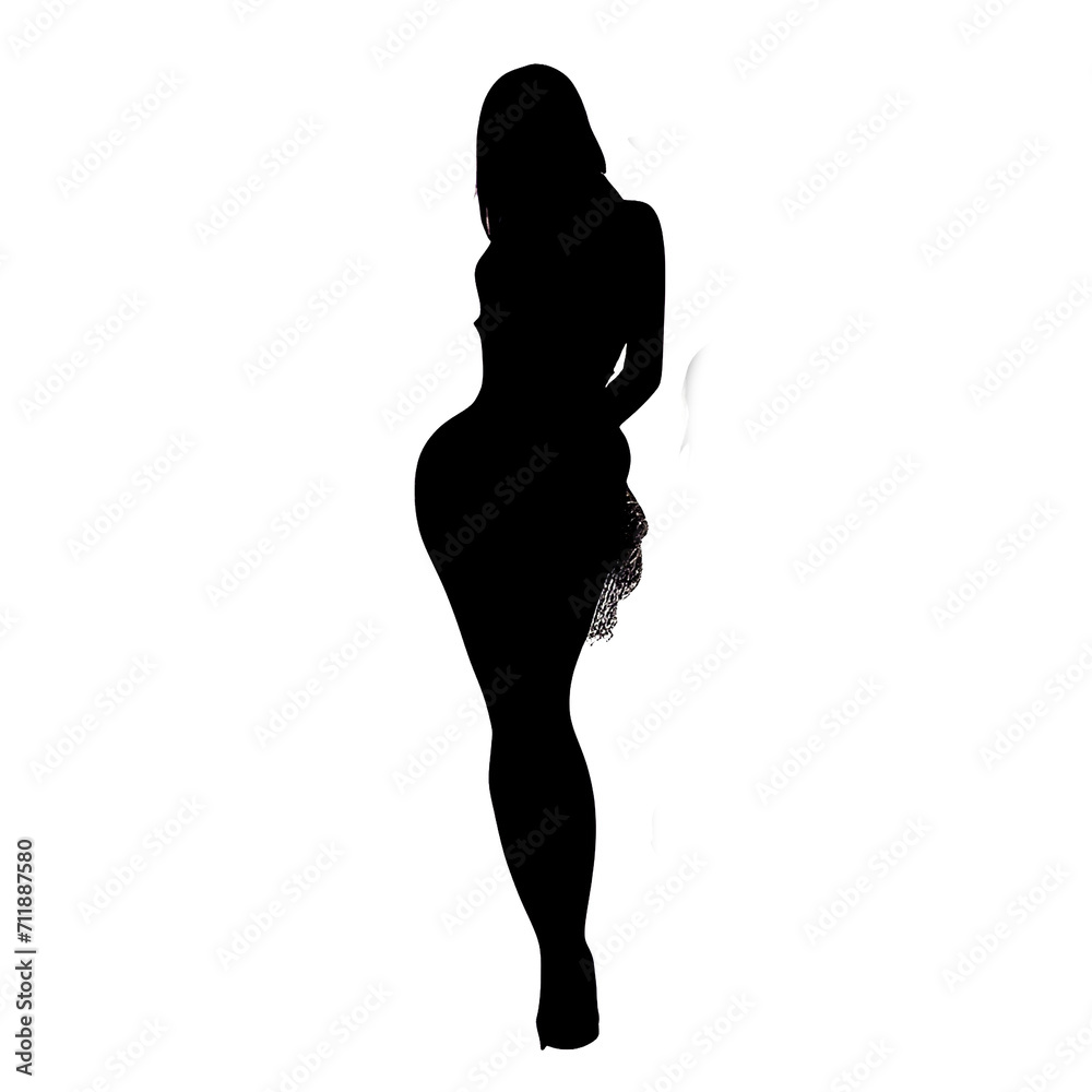 sexy silhouette of a woman