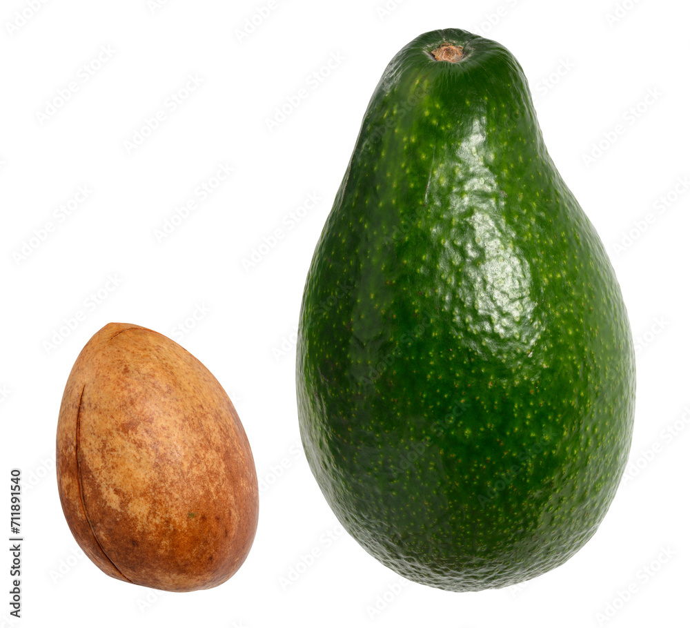 Whole green avocado fruit and avocado pit isolated on white background, tasty and healthy Whole green avocado fruit and avocado pit isolated on white background, tasty and healthy