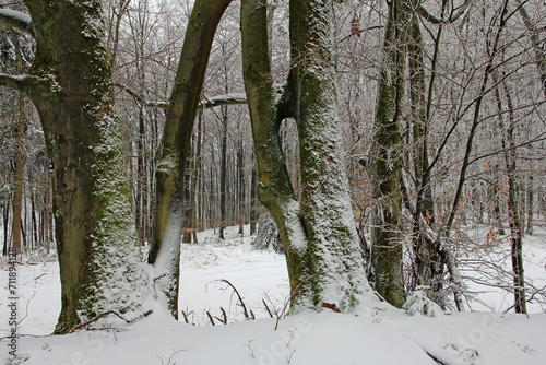 winter in the old hollow way great Egge near the Extern stones