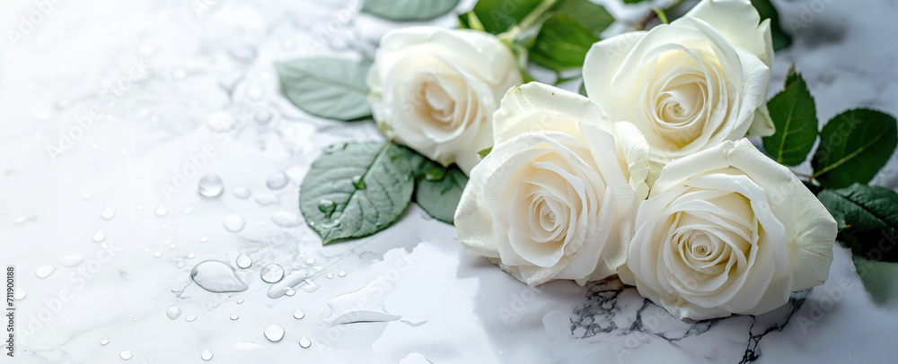 Serene bouquet of white roses against a gentle, luminous backdrop. Serene bouquet of white roses against a gentle, luminous backdrop.