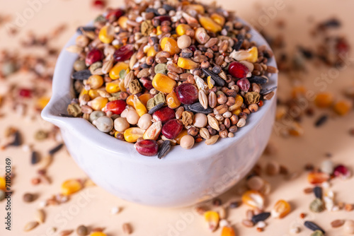 Assorted bird seed, feed for racing pigeons