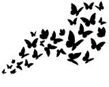silhouette of butterflies