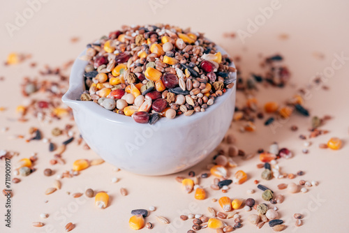 Assorted bird seed, feed for racing pigeons