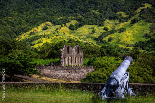 Brimstone Fortress Site on St. Kitts photo