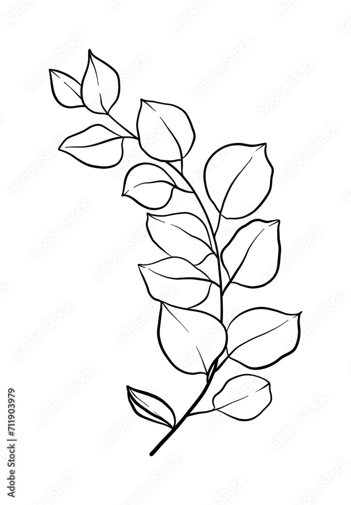 Herbal eucalyptus leaves or branches line art element for a wedding simple minimalist invitation. 