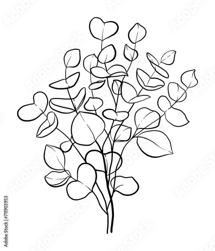Herbal eucalyptus leaves or branches line art element for a wedding simple minimalist invitation. 