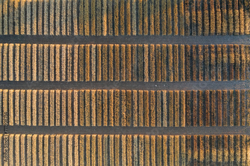 From above aerial view of a field showcasing geometric precision in the arrangement of crop rows, resembling an organic barcode photo