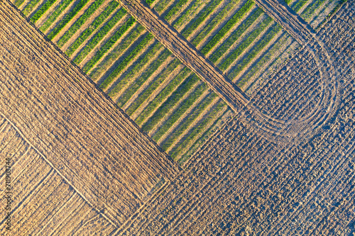 Top view of agricultural fields showing the intersection of different planting techniques, creating a mosaic of green and brown stripes