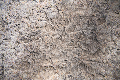 limestone slab with shell marks. Shell rock texture. Natural stone background photo