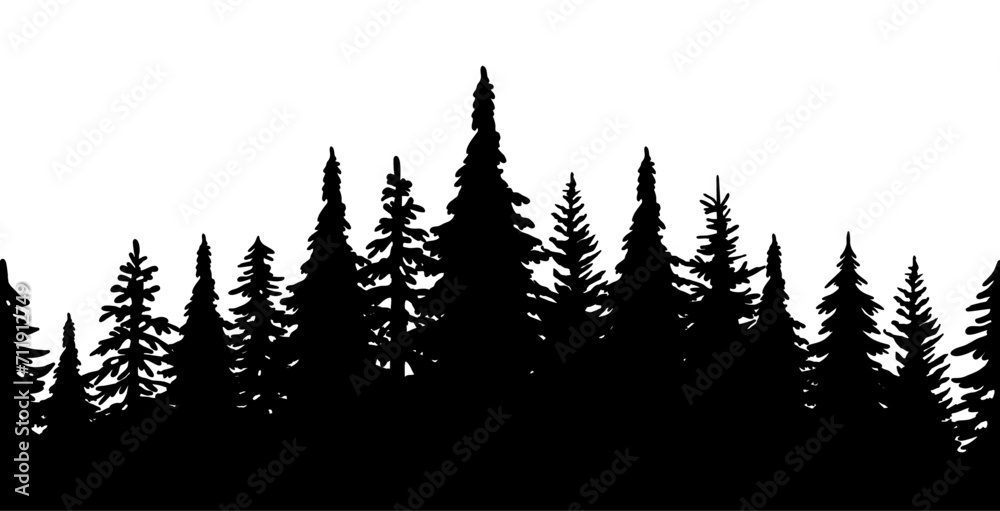 Forest, forest silhouette, fir tree, tree, nature - obrazy, fototapety, plakaty 