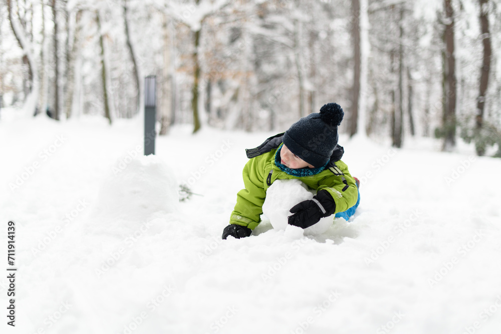 Little Boy Having Fun in the Snow