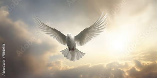 A majestic white dove floating in the air  symbol for peace