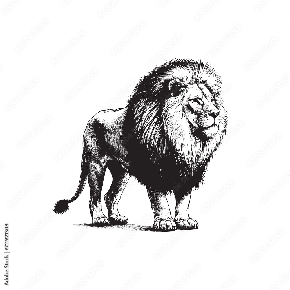 Fototapeta premium Hand Drawn Lion Black & White Illustration