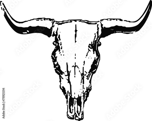 bull head vector