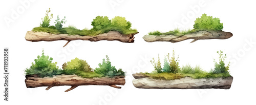Watercolor wood with green moss ornament set. Hand drawn isolated on transparent background.  © gusion