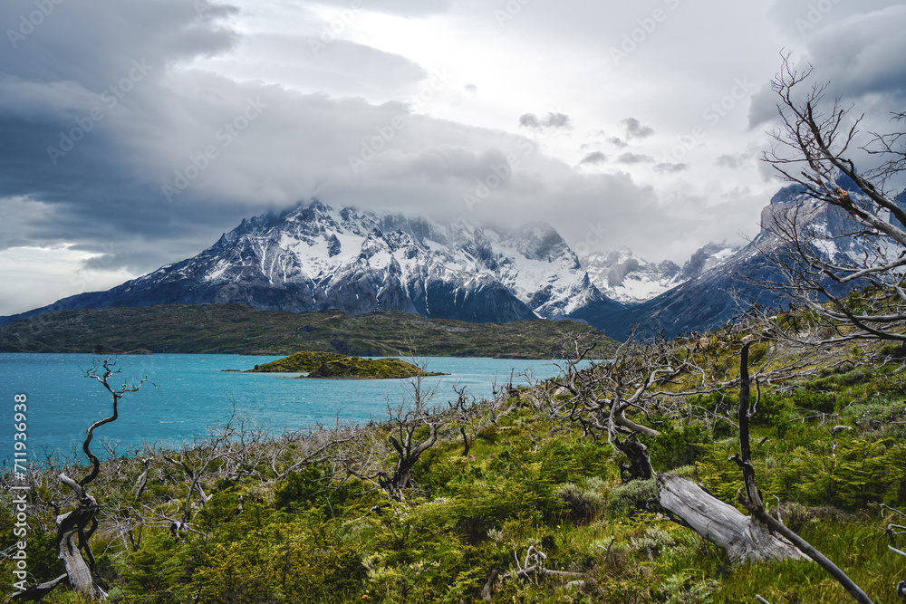 Cuernos del Paine and Lago Pehoé under cloudy sky and  green hill with bare trees