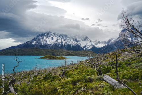 Cuernos del Paine and Lago Peho   under cloudy sky and  green hill with bare trees